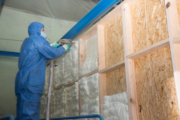 Best Energy-efficient Insulation  in Girard, KS